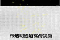 黄色视频下载,风险与防范指南