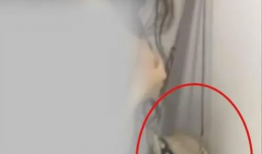 女生啪啪啪视频,探索女生啪啪啪视频背后的故事